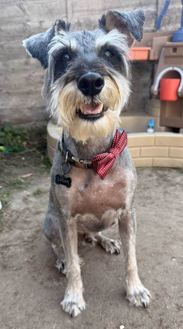 Logan